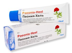 Пеония-Хель Paeonia-Heel